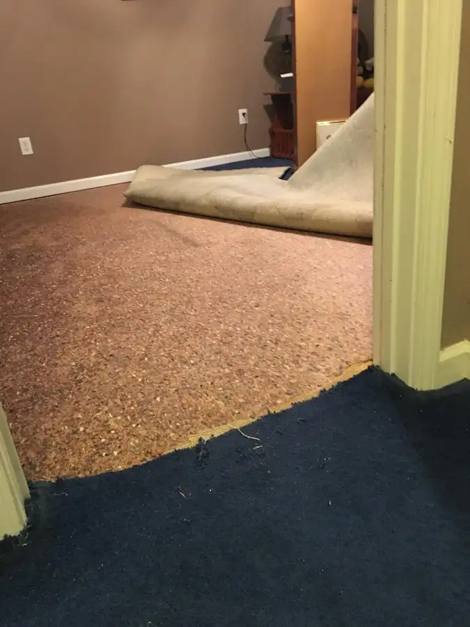 Carpet pad removal revealing water damage during Drying & Dehumidification in Elizabeth City