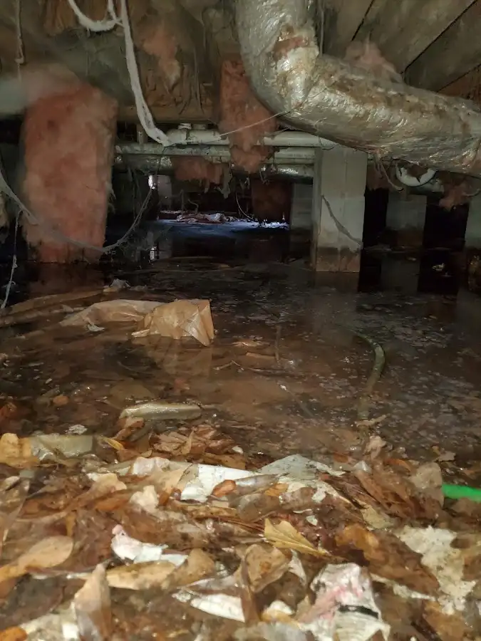 Crawl space flood assessment for Commercial Water Damage Restoration in Elizabeth City