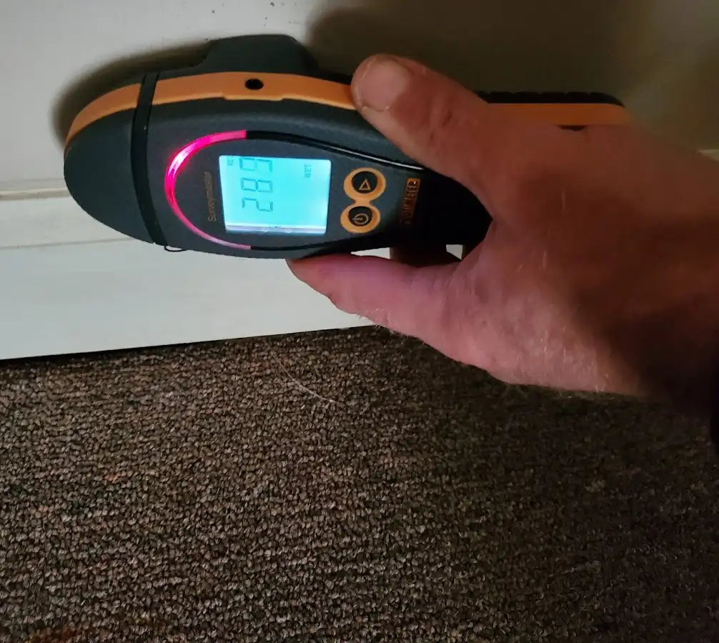Moisture detection at baseboard during Sewage Cleanup & Sanitation in Elizabeth City